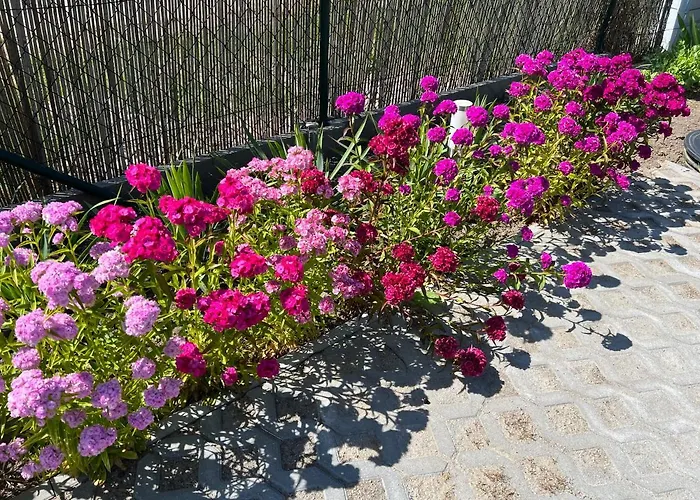 Дом отдыха Kapitana *