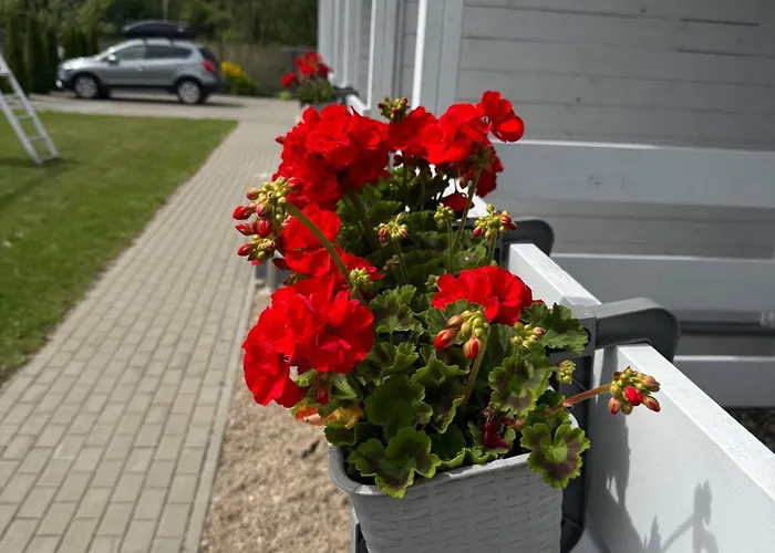 Kapitana Дом отдыха